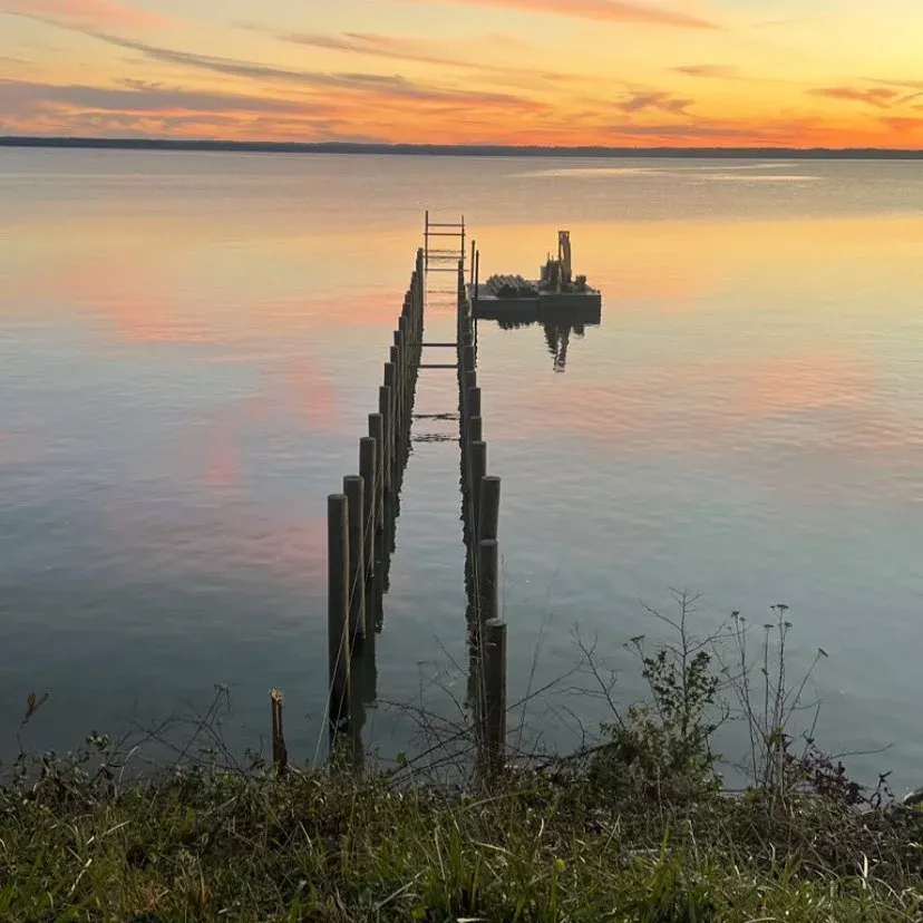 Pilings for a long pier set in a line out into the water at sunset, with the barge at the far end